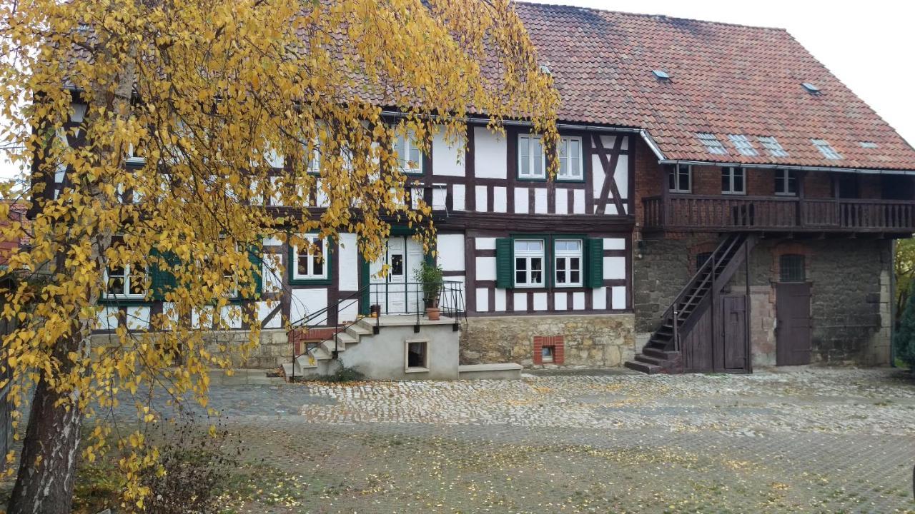 Magdalenenhof Am Huywald - Kornboden Mit Aussicht Lejlighed Dingelstedt Eksteriør billede