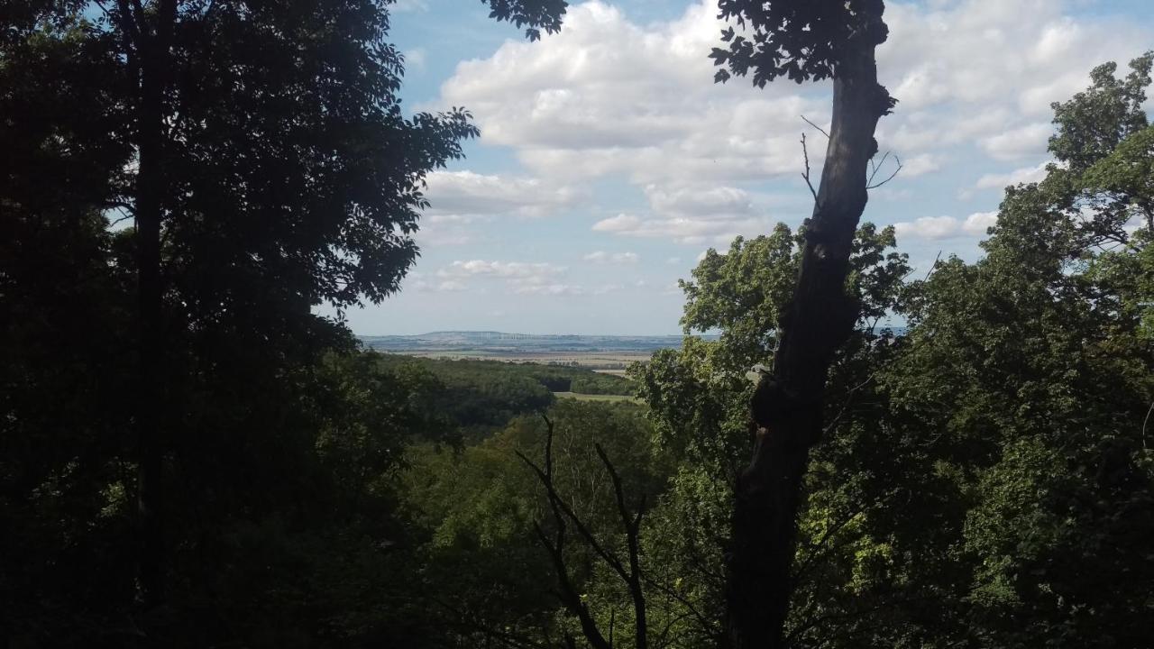 Magdalenenhof Am Huywald - Kornboden Mit Aussicht Lejlighed Dingelstedt Eksteriør billede