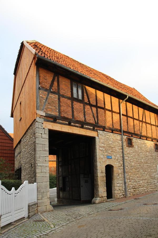 Magdalenenhof Am Huywald - Kornboden Mit Aussicht Lejlighed Dingelstedt Eksteriør billede