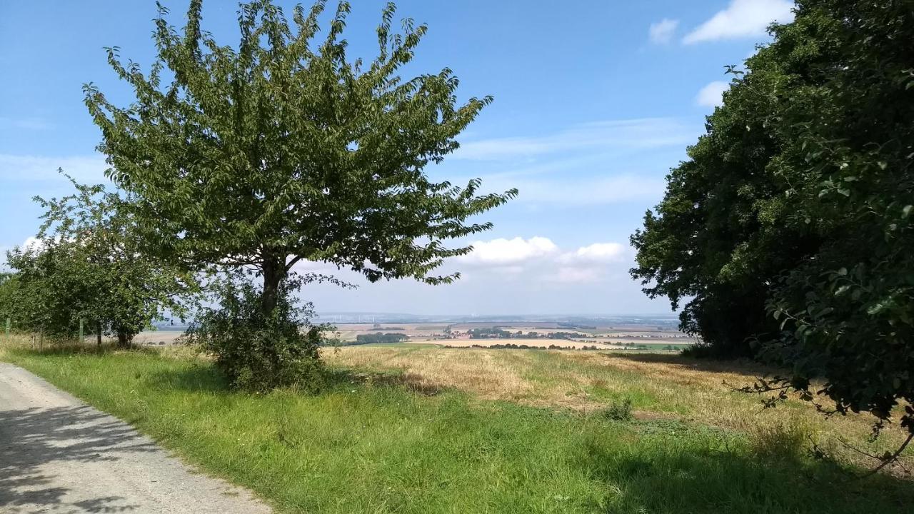 Magdalenenhof Am Huywald - Kornboden Mit Aussicht Lejlighed Dingelstedt Eksteriør billede