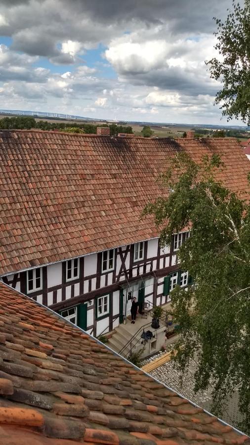 Magdalenenhof Am Huywald - Kornboden Mit Aussicht Lejlighed Dingelstedt Eksteriør billede