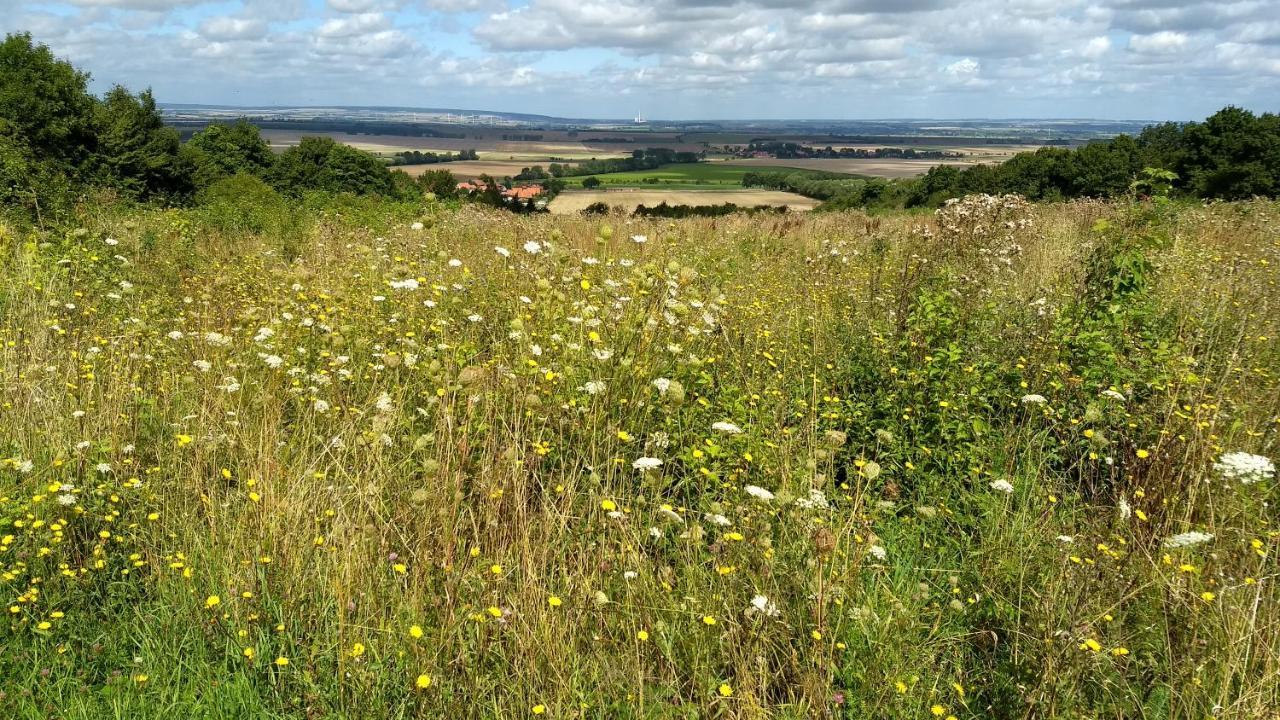 Magdalenenhof Am Huywald - Kornboden Mit Aussicht Lejlighed Dingelstedt Eksteriør billede