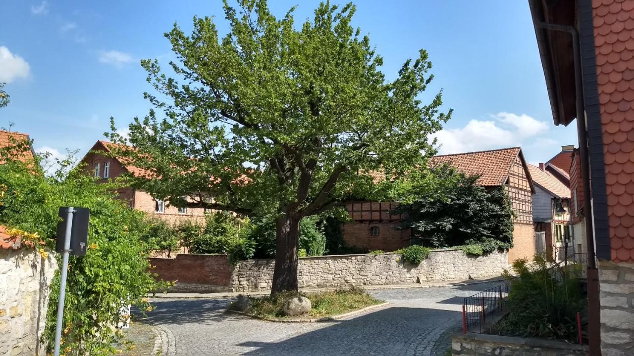 Magdalenenhof Am Huywald - Kornboden Mit Aussicht Lejlighed Dingelstedt Eksteriør billede