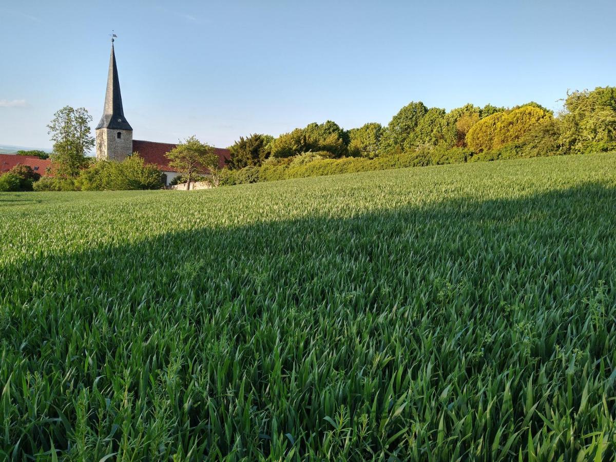 Magdalenenhof Am Huywald - Kornboden Mit Aussicht Lejlighed Dingelstedt Eksteriør billede