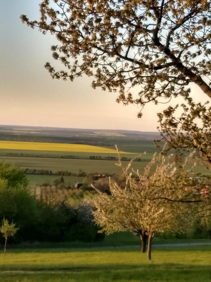 Magdalenenhof Am Huywald - Kornboden Mit Aussicht Lejlighed Dingelstedt Eksteriør billede