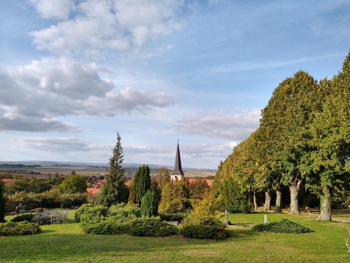 Magdalenenhof Am Huywald - Kornboden Mit Aussicht Lejlighed Dingelstedt Eksteriør billede