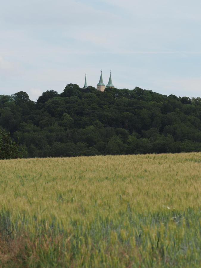 Magdalenenhof Am Huywald - Kornboden Mit Aussicht Lejlighed Dingelstedt Eksteriør billede