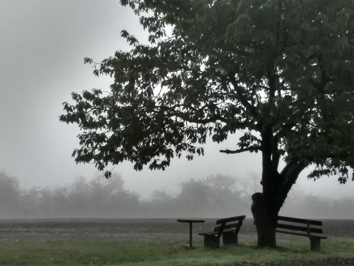 Magdalenenhof Am Huywald - Kornboden Mit Aussicht Lejlighed Dingelstedt Eksteriør billede