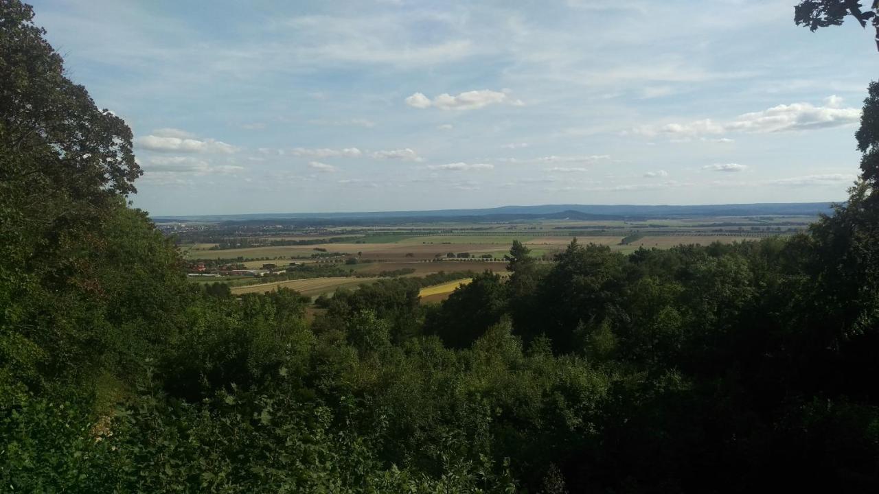 Magdalenenhof Am Huywald - Kornboden Mit Aussicht Lejlighed Dingelstedt Eksteriør billede