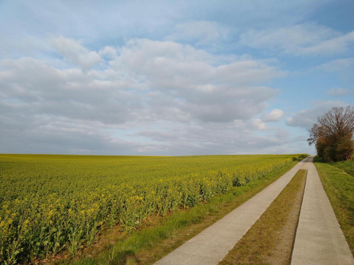 Magdalenenhof Am Huywald - Kornboden Mit Aussicht Lejlighed Dingelstedt Eksteriør billede