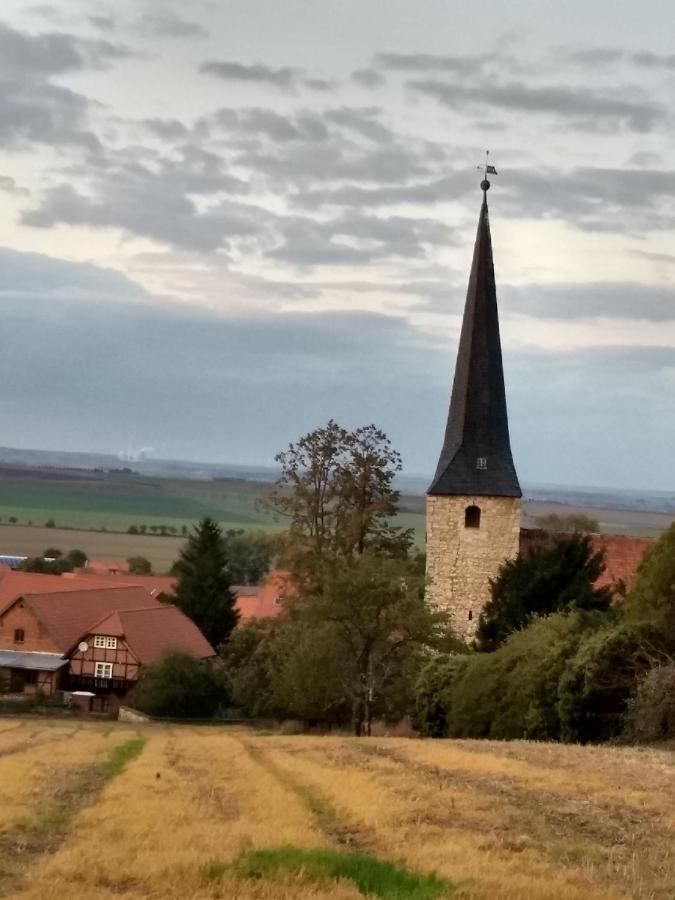 Magdalenenhof Am Huywald - Kornboden Mit Aussicht Lejlighed Dingelstedt Eksteriør billede